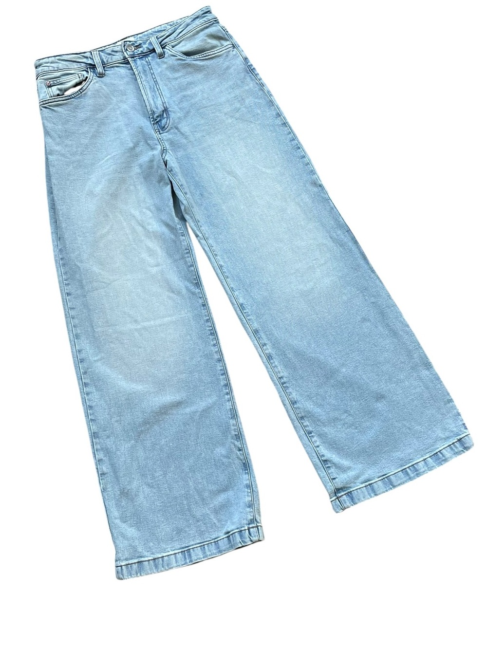Hudson Whip Smart Light Blue Wide Leg Denim Jeans